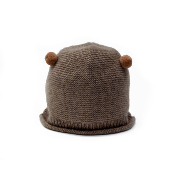 Teddy bear hat
